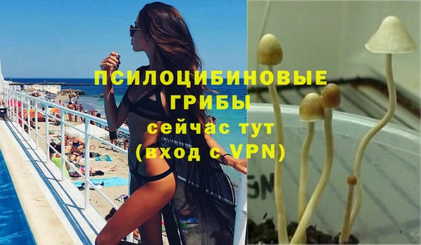 эйфоретик Зеленокумск